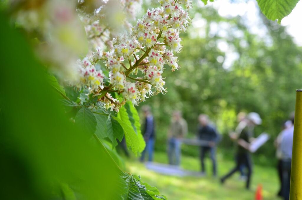 Firmafest med teambuilding på Gammelrøj Herregård